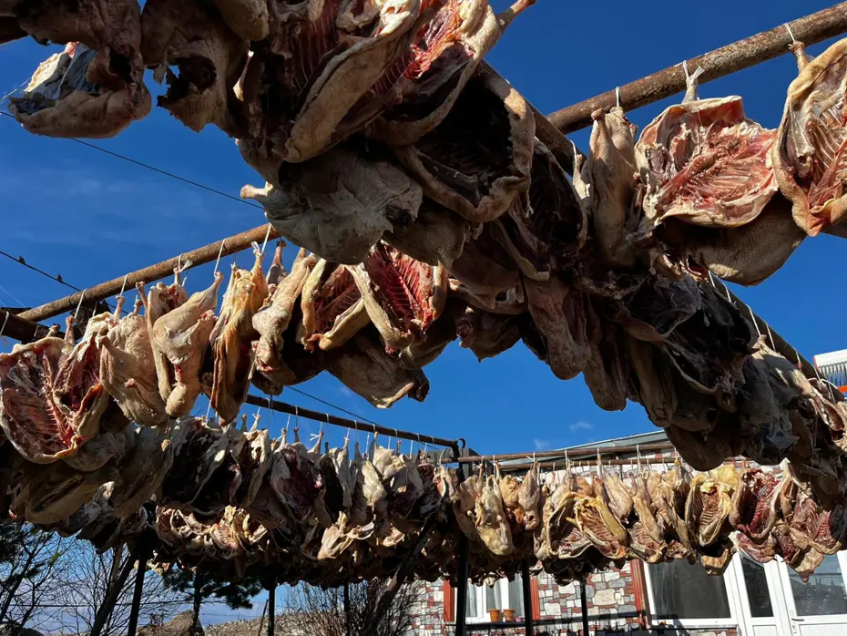 Önce tuzlanıyor, sonra kurutuluyor. Lezzeti sınırları aştı