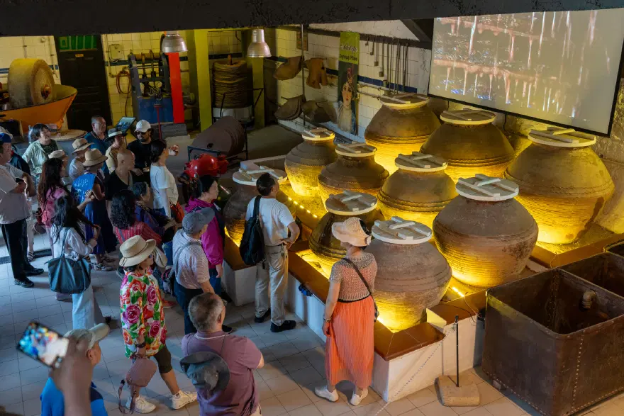 Çinli turistlerin Çanakkale'deki gözdesi zeytinyağı oldu 1 Çinli turistlerin Çanakkale'deki gözdesi zeytinyağı oldu 1