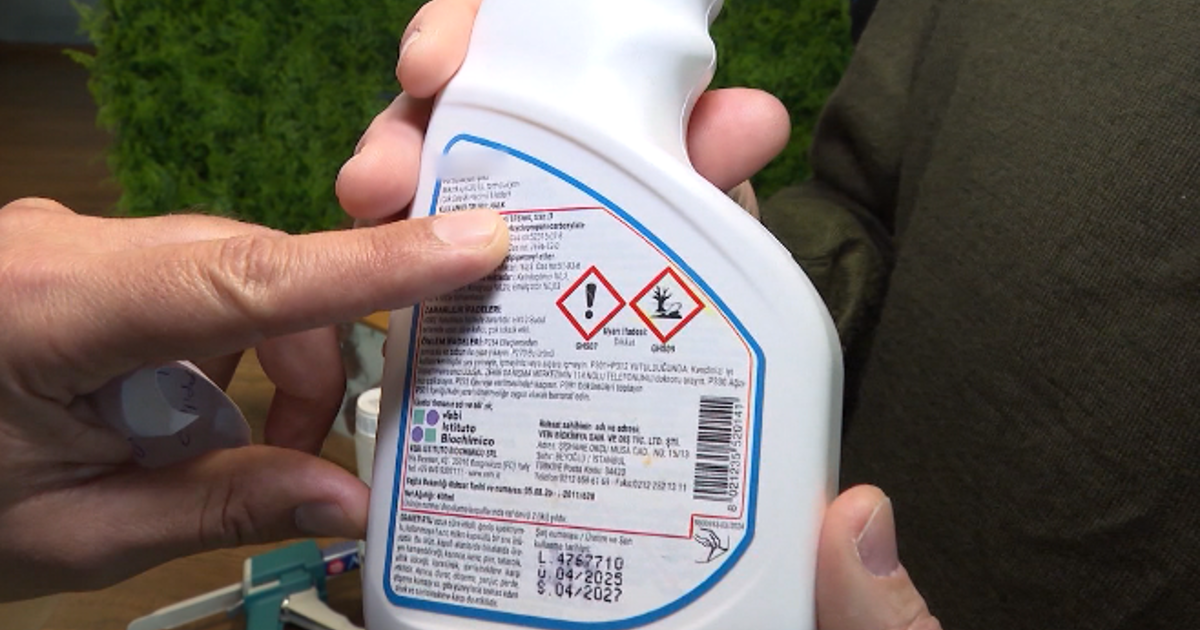 Haşere ilaçlama nasıl yapılmalı? Biyolog ve ilaçlama uzmanı anlarrı