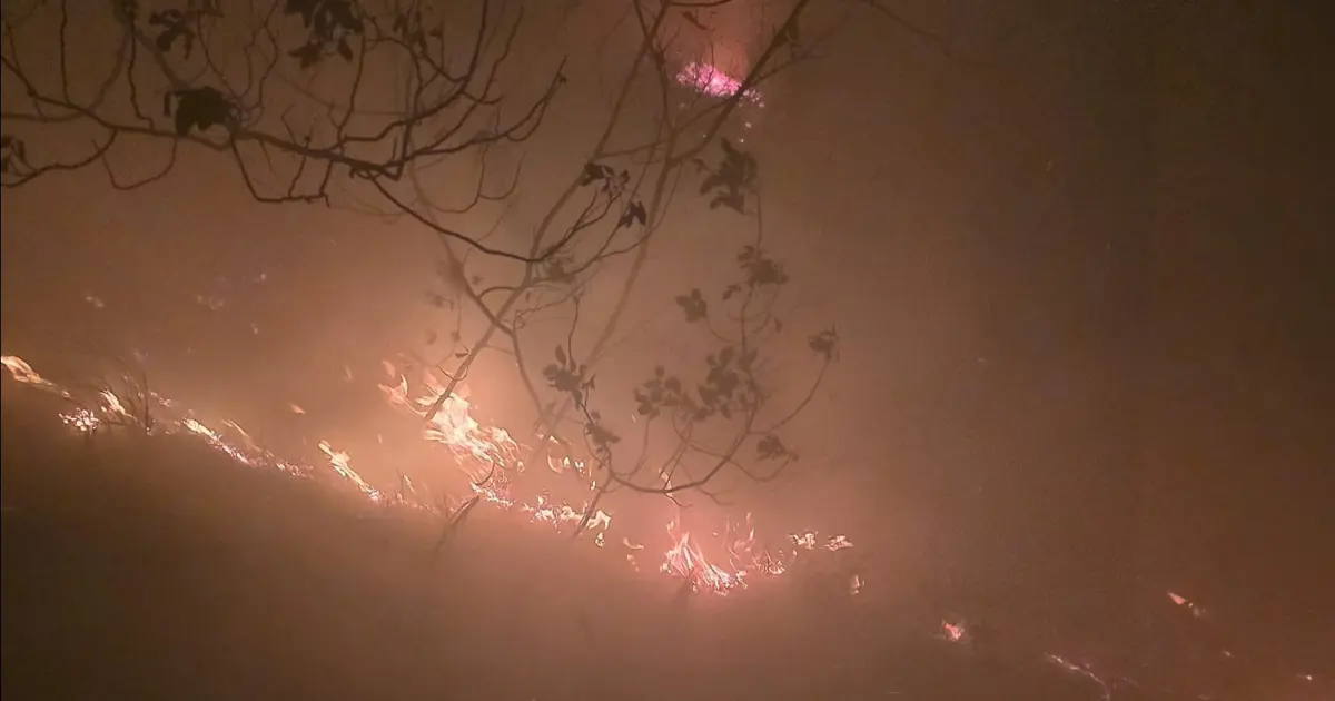 Yıldırım düştü, orman yangını çıktı