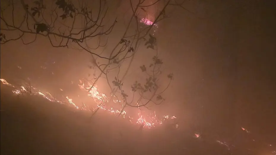 Yıldırım düştü, orman yangını çıktı