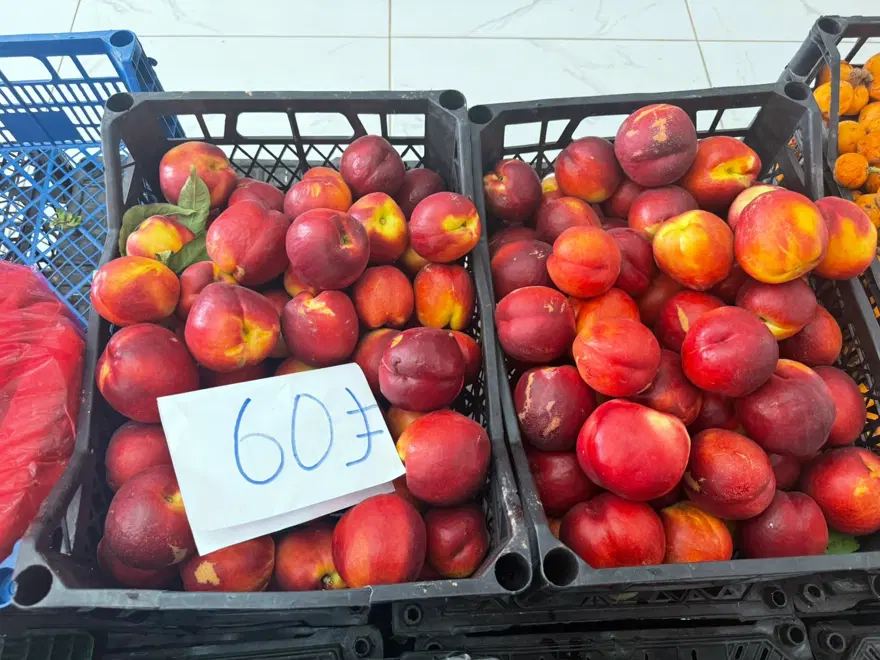 'REKOLTE ÇOK DÜŞTÜ' 2