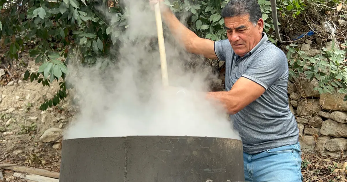 Ormanda kendiliğinden yetişiyor, litresi bin lira: Geçen yıl 400 liraydı