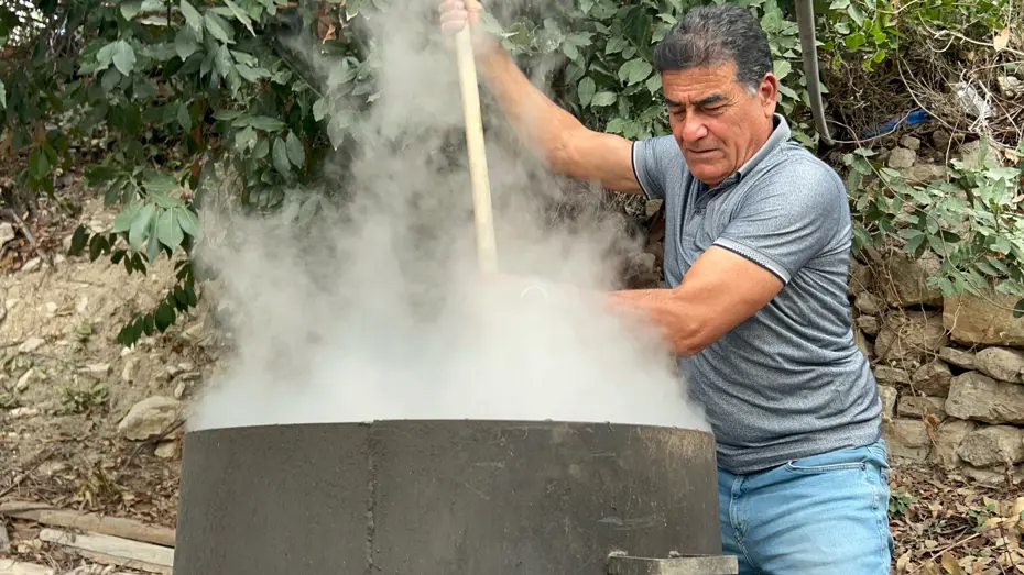 Ormanda kendiliğinden yetişiyor, litresi bin lira: Geçen yıl 400 liraydı