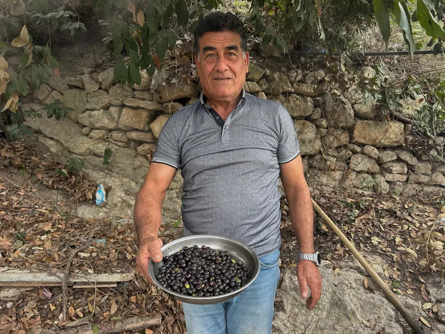 Ormanda kendiliğinden yetişiyor, litresi bin lira: Geçen yıl 400 liraydı 