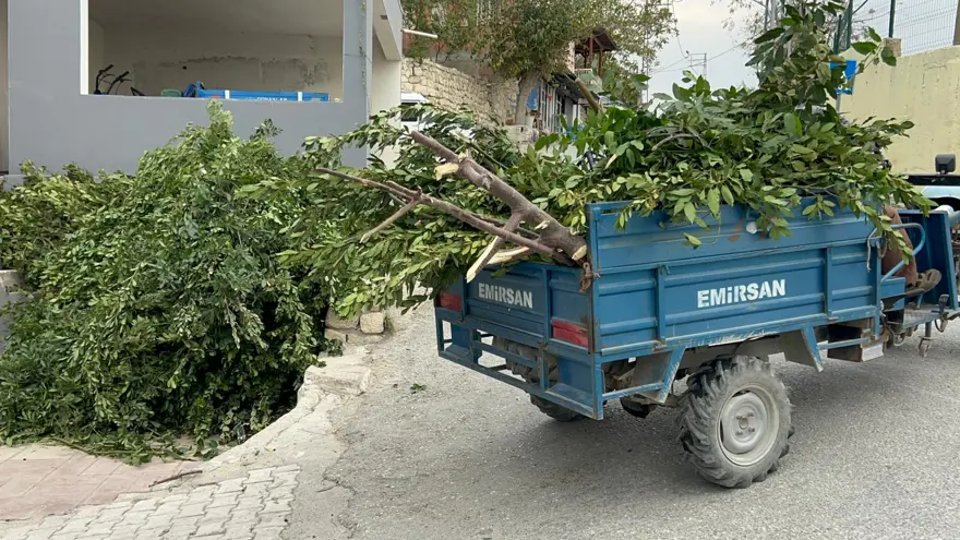 Yüzlerce ailenin geçim kaynağı: Sabun ve şampuan yapımında kullanılıyor 1