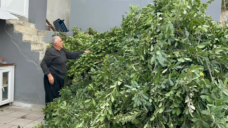 Yüzlerce ailenin geçim kaynağı: Sabun ve şampuan yapımında kullanılıyor 2