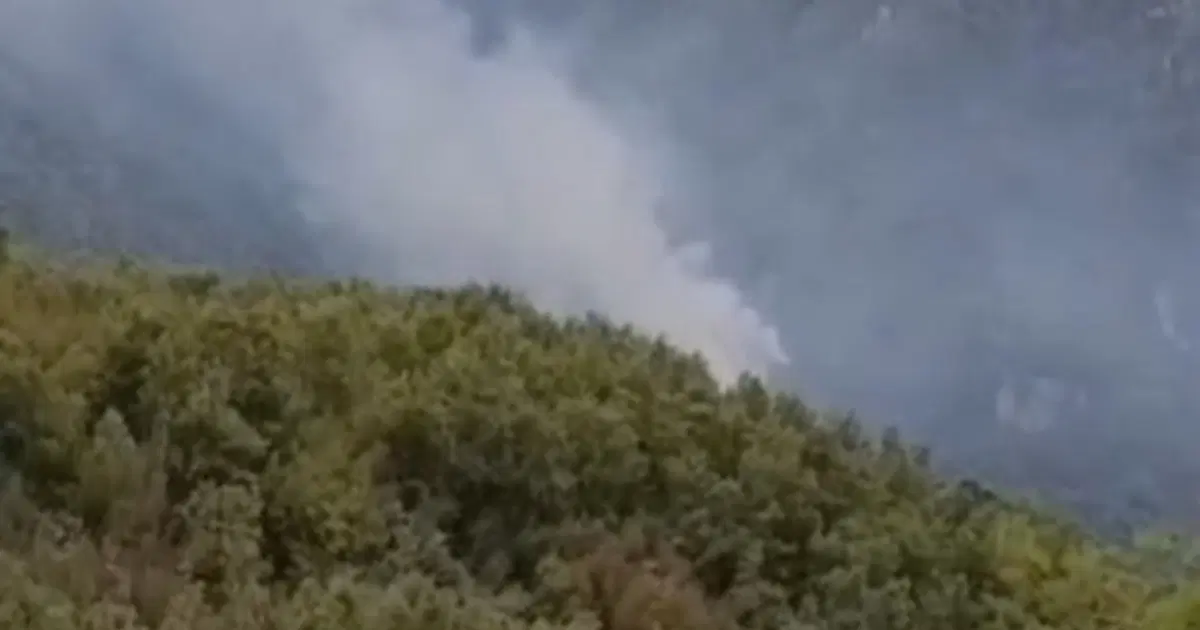 Hatay'da orman yangını. Ekipler müdahale ediyor