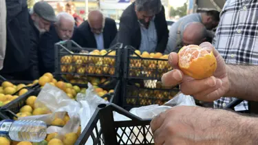 Hatay'da üreticiler, alıcı çıkmayan tonlarca mandalinayı ücretsiz dağıttı 