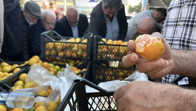 Hatay'da üreticiler, alıcı çıkmayan tonlarca mandalinayı ücretsiz dağıttı 