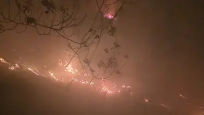 Yıldırım düştü, orman yangını çıktı