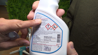 Haşere ilaçlama nasıl yapılmalı? Biyolog ve ilaçlama uzmanı anlattı