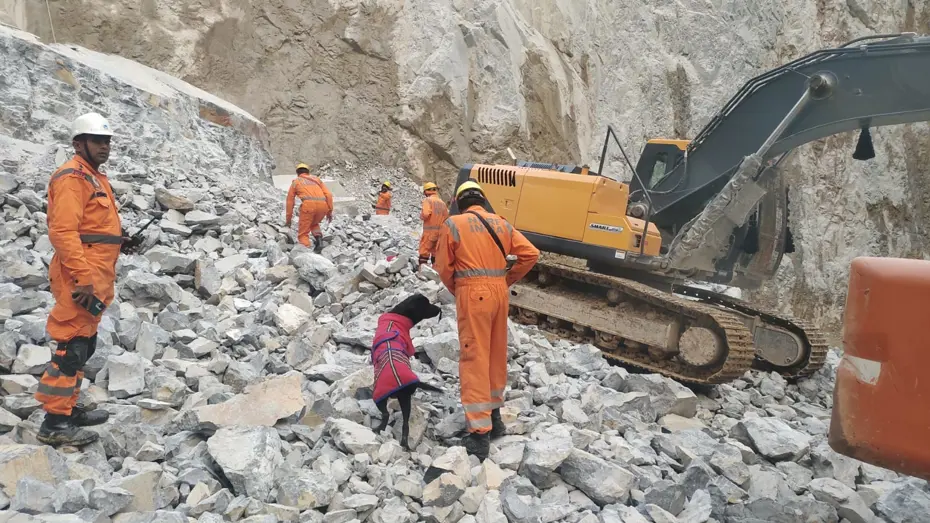Hindistan'da taş ocağında göçük: 1 ölü