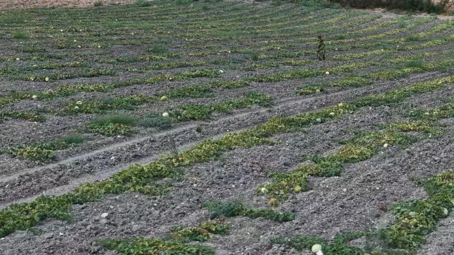Halk arasında 