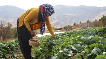Hobisi işi oldu: Ev hanımıydı, şimdi ailesini geçindiriyor