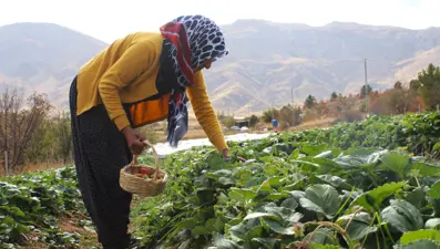 Hobisi işi oldu: Ev hanımıydı, şimdi ailesini geçindiriyor