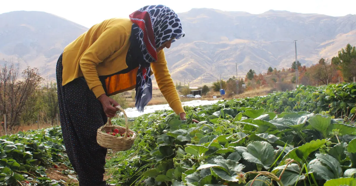 Hobisi işi oldu: Ev hanımıydı, şimdi ailesini geçindiriyor