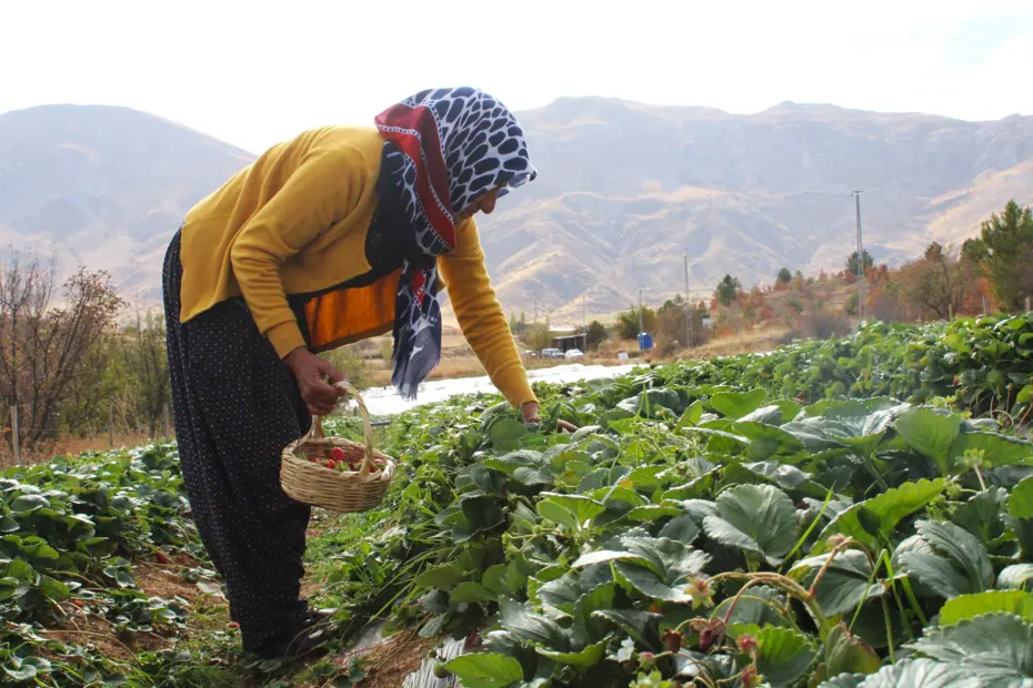 Hobisi işi oldu: Ev hanımıydı, şimdi ailesini geçindiriyor