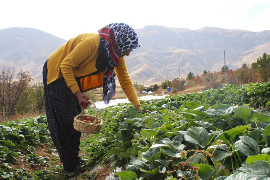 Hobisi işi oldu: Ev hanımıydı, şimdi ailesini geçindiriyor 3
