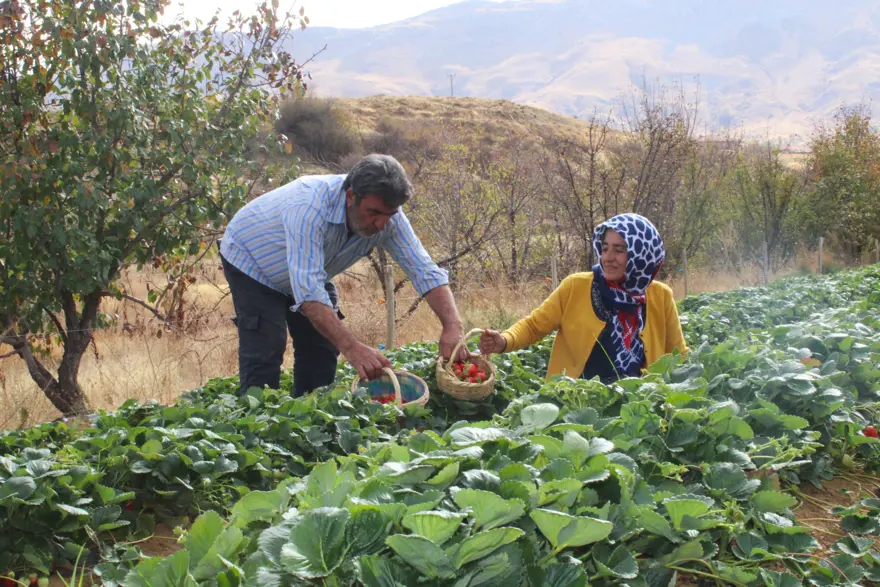 Hobisi işi oldu: Ev hanımıydı, şimdi ailesini geçindiriyor 