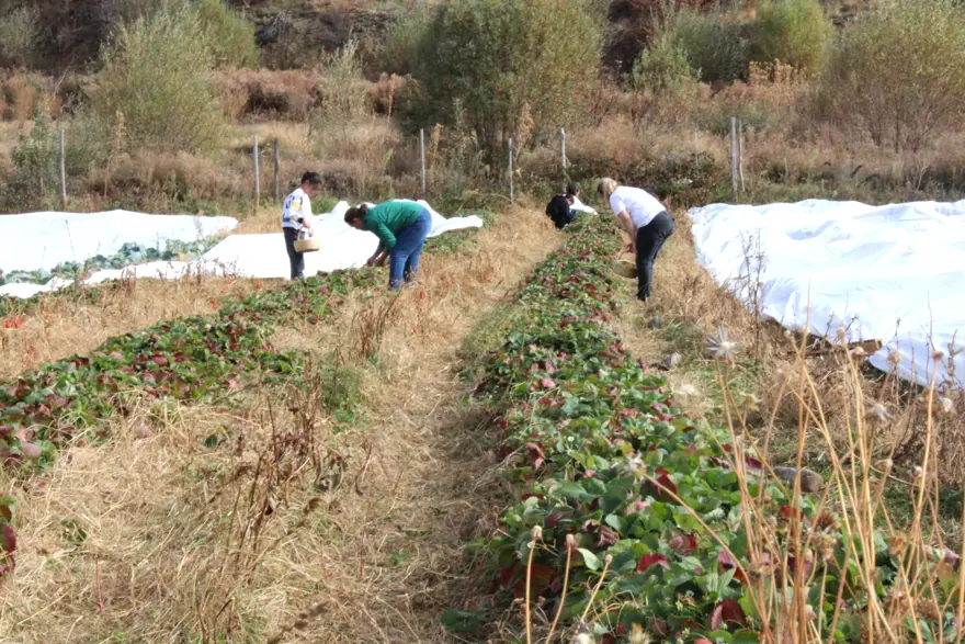 Hobisi işi oldu: Ev hanımıydı, şimdi ailesini geçindiriyor 2