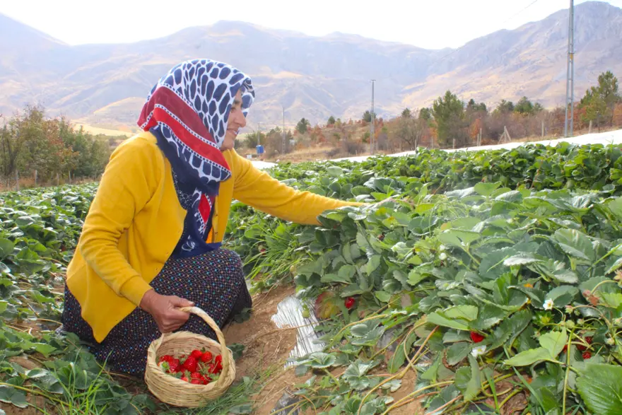 Hobisi işi oldu: Ev hanımıydı, şimdi ailesini geçindiriyor 1