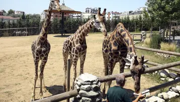 Darıca Hayvanat Bahçesi kapatıldı