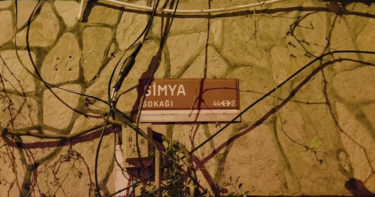 4 yaşındaki çocuk ve annenin dehşet anları. Silahla girip ağızlarını bantladılar