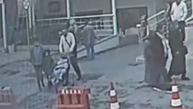 Böcek ailesine ilişkin yeni görüntüler ortaya çıktı