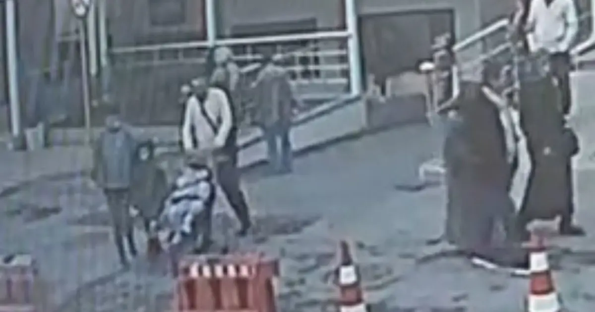 Böcek ailesine ilişkin yeni görüntüler ortaya çıktı