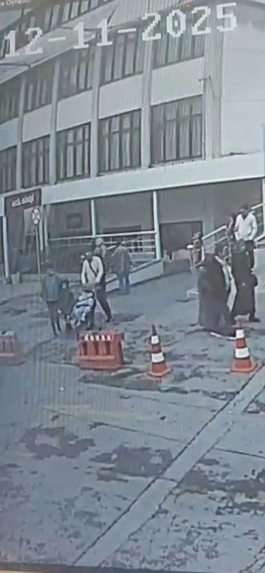 Böcek ailesine ilişkin yeni görüntüler ortaya çıktı