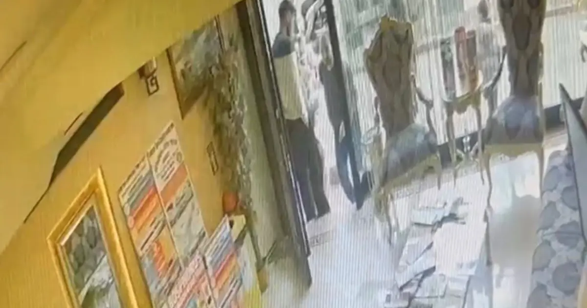 Böcek ailesinin ölümü: İlaçlama yapan kişi otele böyle girdi