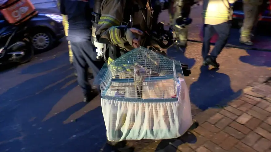 Apartman yangınında can pazarı 4