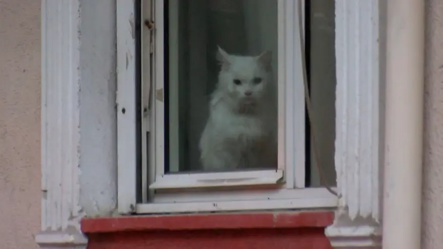 Apartman yangınında can pazarı 5