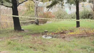 İstanbul'da dere yatağında erkek cesedi bulundu