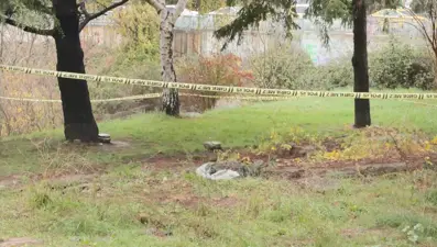 İstanbul'da dere yatağında erkek cesedi bulundu