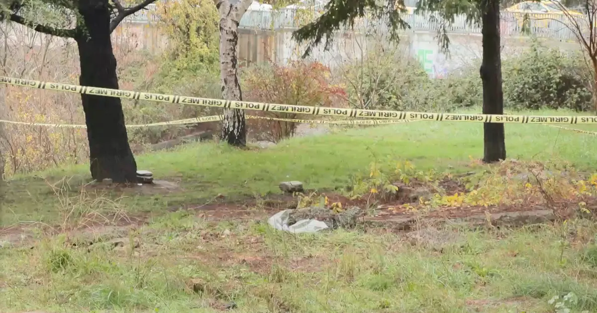 İstanbul'da dere yatağında erkek cesedi bulundu