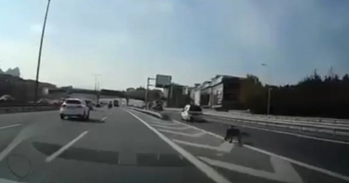 Son anda sapağa girmek isterken kazaya neden oldu