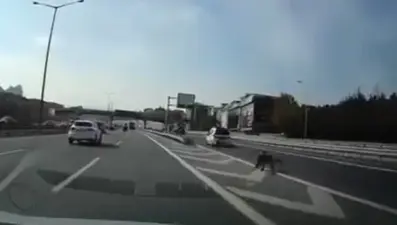 Son anda sapağa girmek isterken kazaya neden oldu