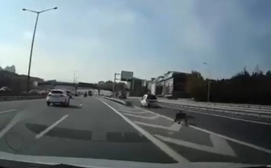 Son anda sapağa girmek isterken kazaya neden oldu