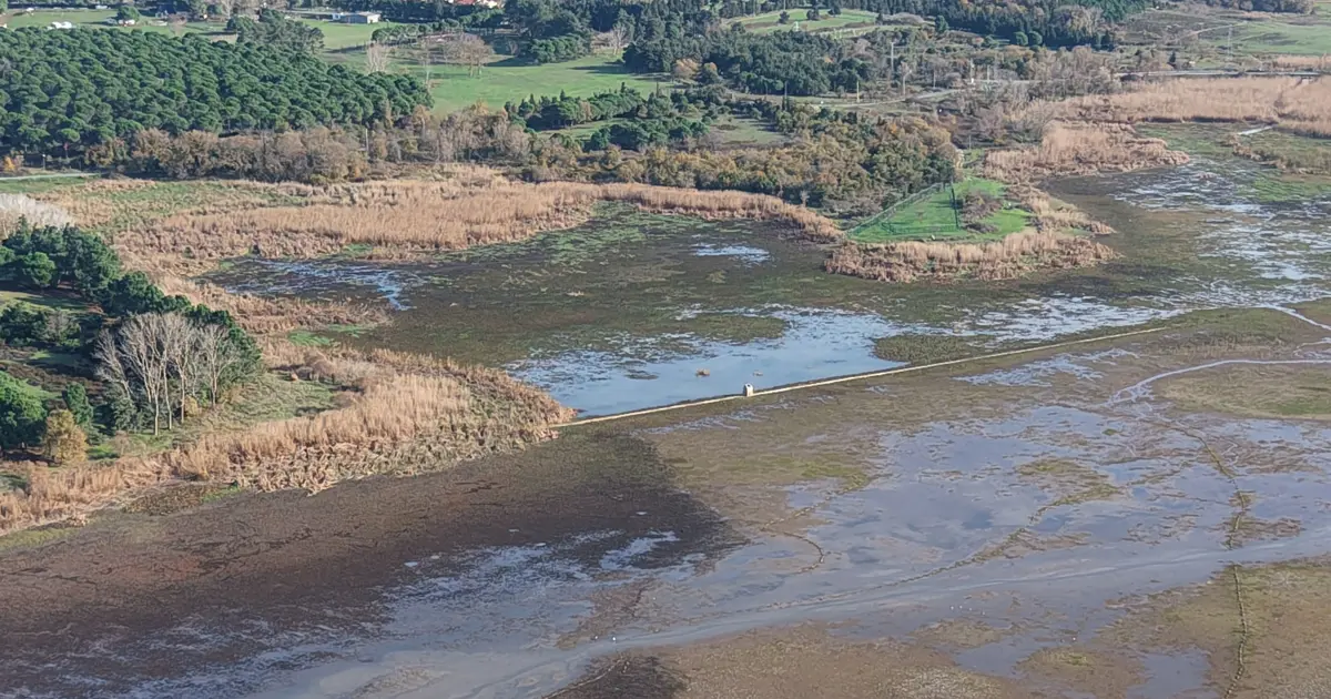 İstanbul'da tehlike kapıda! Geçen yıl yüzde 40'tı, bu sene yüzde 17