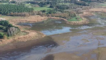 İstanbul'da tehlike kapıda! Geçen yıl yüzde 40'tı, bu sene yüzde 17