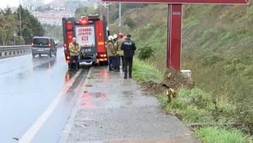 İstanbul'da trafik kazası: Otomobil şarampole yuvarlandı