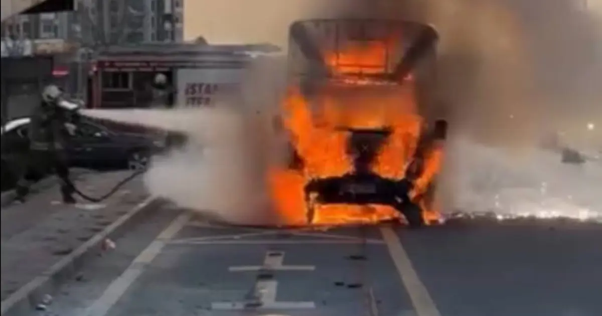 D-100 karayolunda kamyonet alev topuna döndü