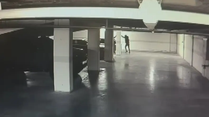 Türkiye'nin konuştuğu otopark soygunu. 30 milyon dolar neden bagajdaydı? İfadesi ortaya çıktı 1