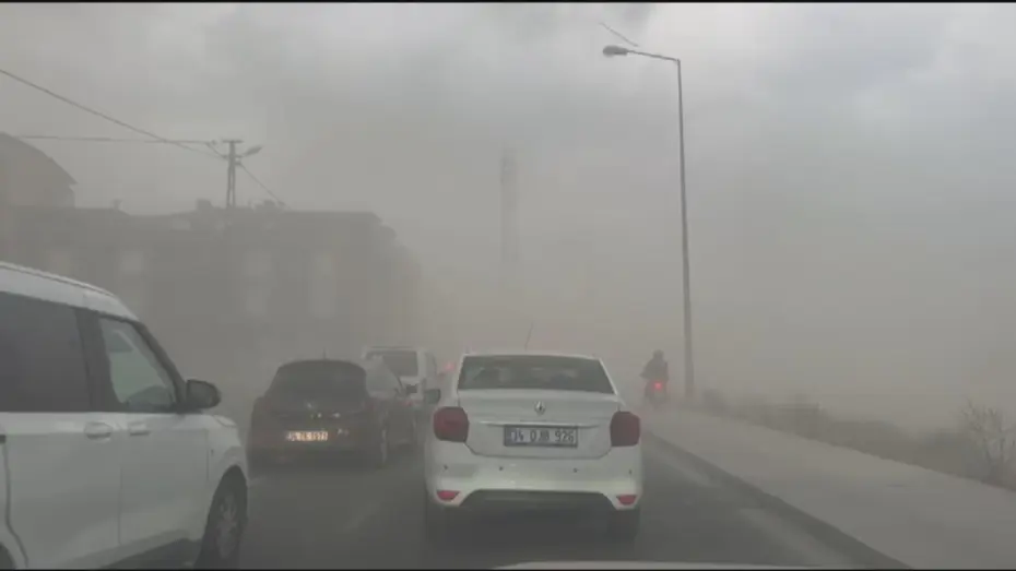 İstanbul’da fırtınada ağaçlar devrildi