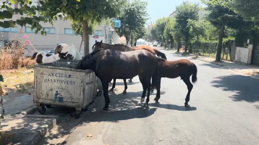 İstanbul'un göbeğinde tehlikeye davetiye. Mahalleli şaşkın, sürücüler tedirgin 