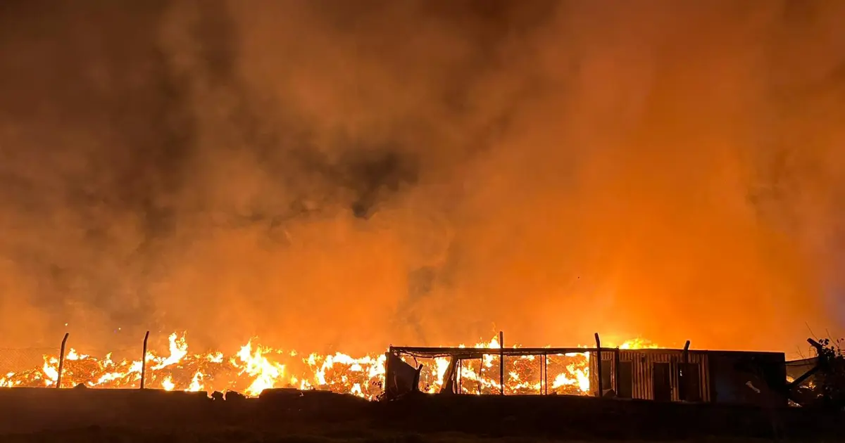 İzmir'de çöp depolama alanında yangın: Alevlere müdahale sürüyor