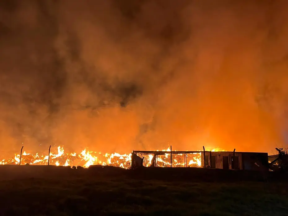 İzmir'de çöp depolama alanında yangın: Alevlere müdahale sürüyor