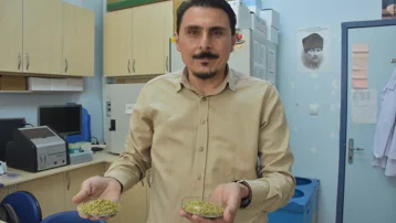 İzmir kekiği için ''reçeteyle satılsın'' çağrısı. ''Antibiyotik direnci geliştirebilir''